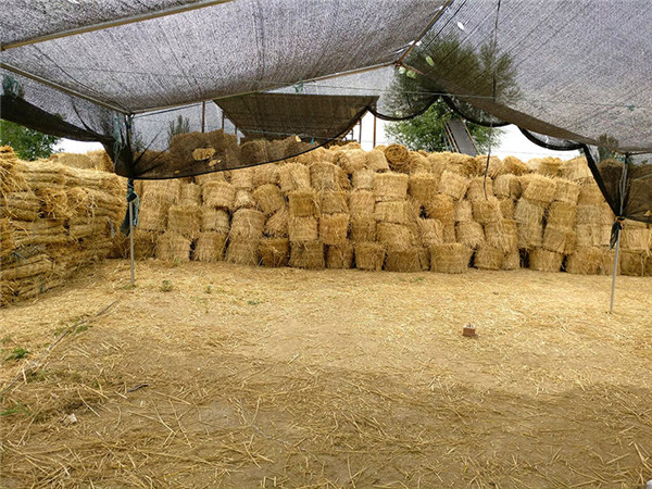 农用保温大棚稻草帘 大棚草苫子